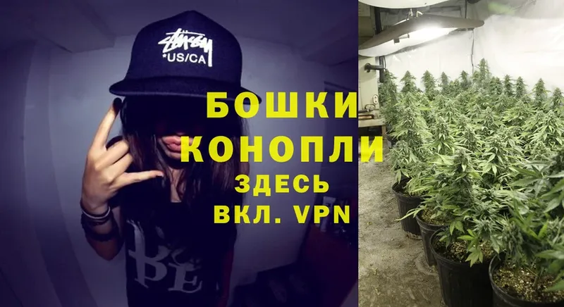 где купить наркоту  Волгореченск  kraken вход  Марихуана Ganja 